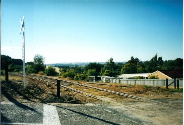 Barossa view from Angaston